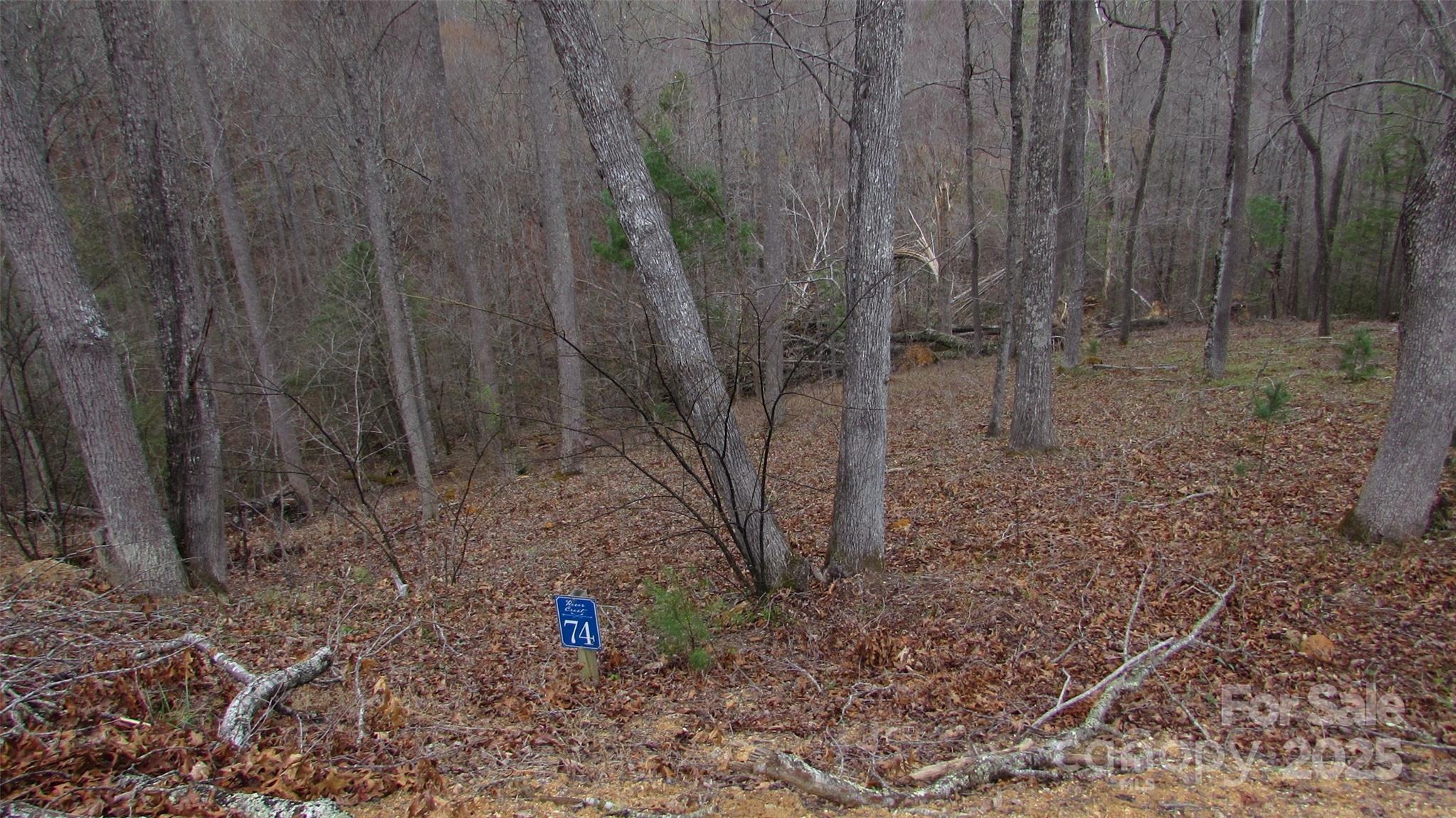#74 Falling Water Drive Green Mountain NC 28740