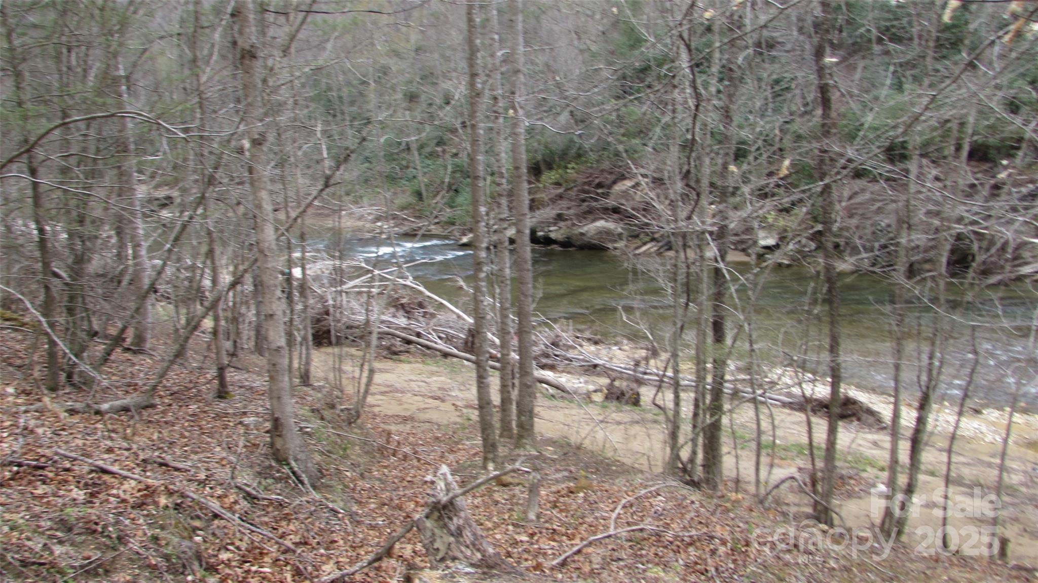 #74 Falling Water Drive Green Mountain NC 28740
