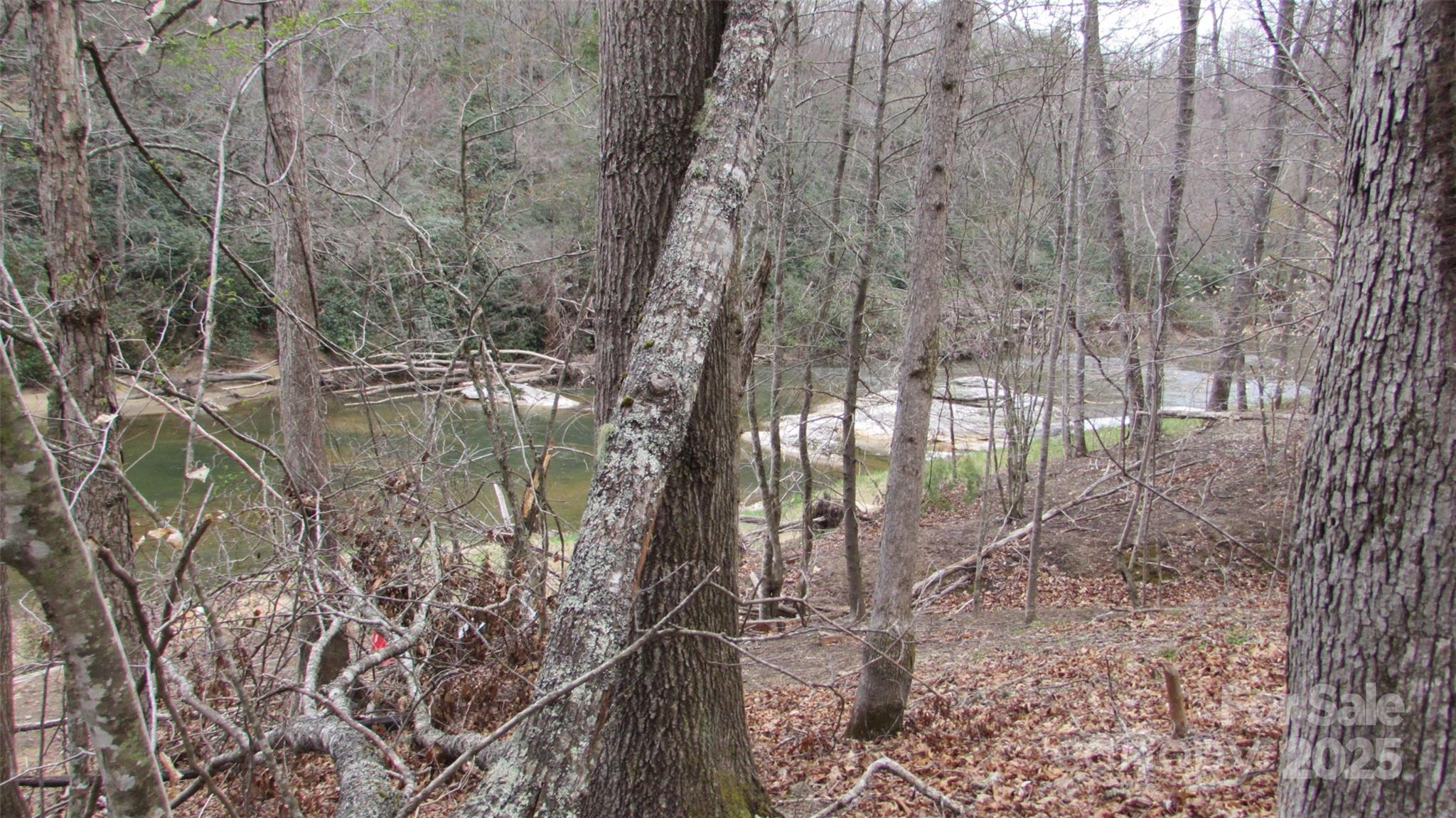 #74 Falling Water Drive Green Mountain NC 28740