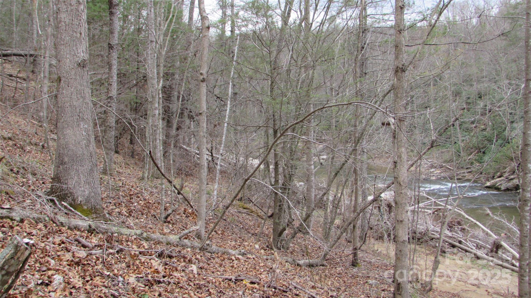 #74 Falling Water Drive Green Mountain NC 28740