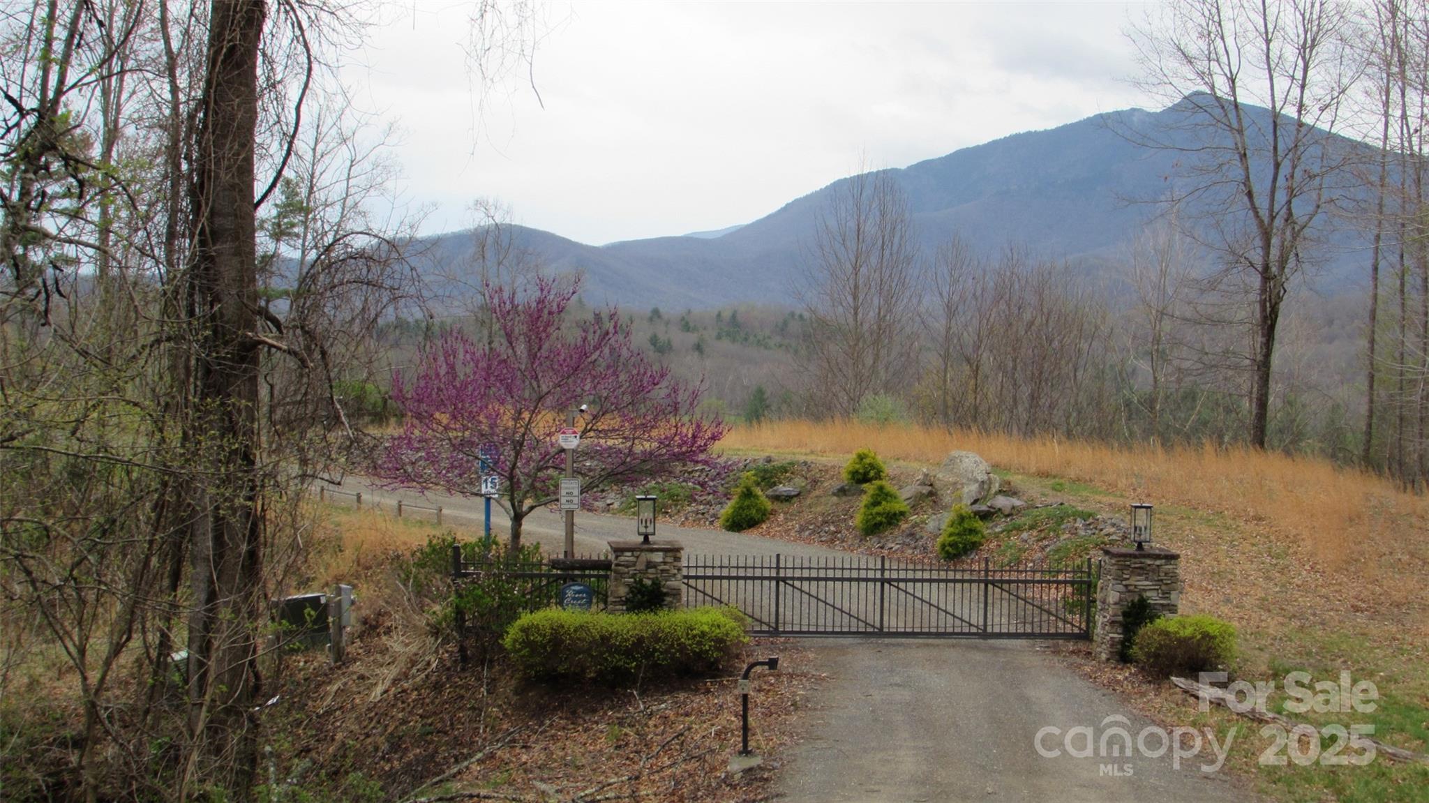 #74 Falling Water Drive Green Mountain NC 28740