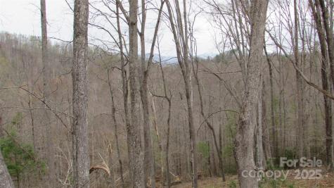 #74 Falling Water Drive Green Mountain NC 28740