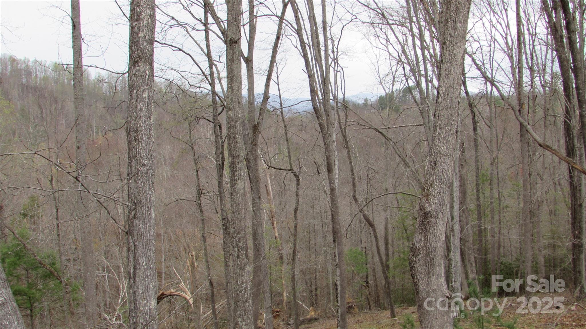 #74 Falling Water Drive Green Mountain NC 28740