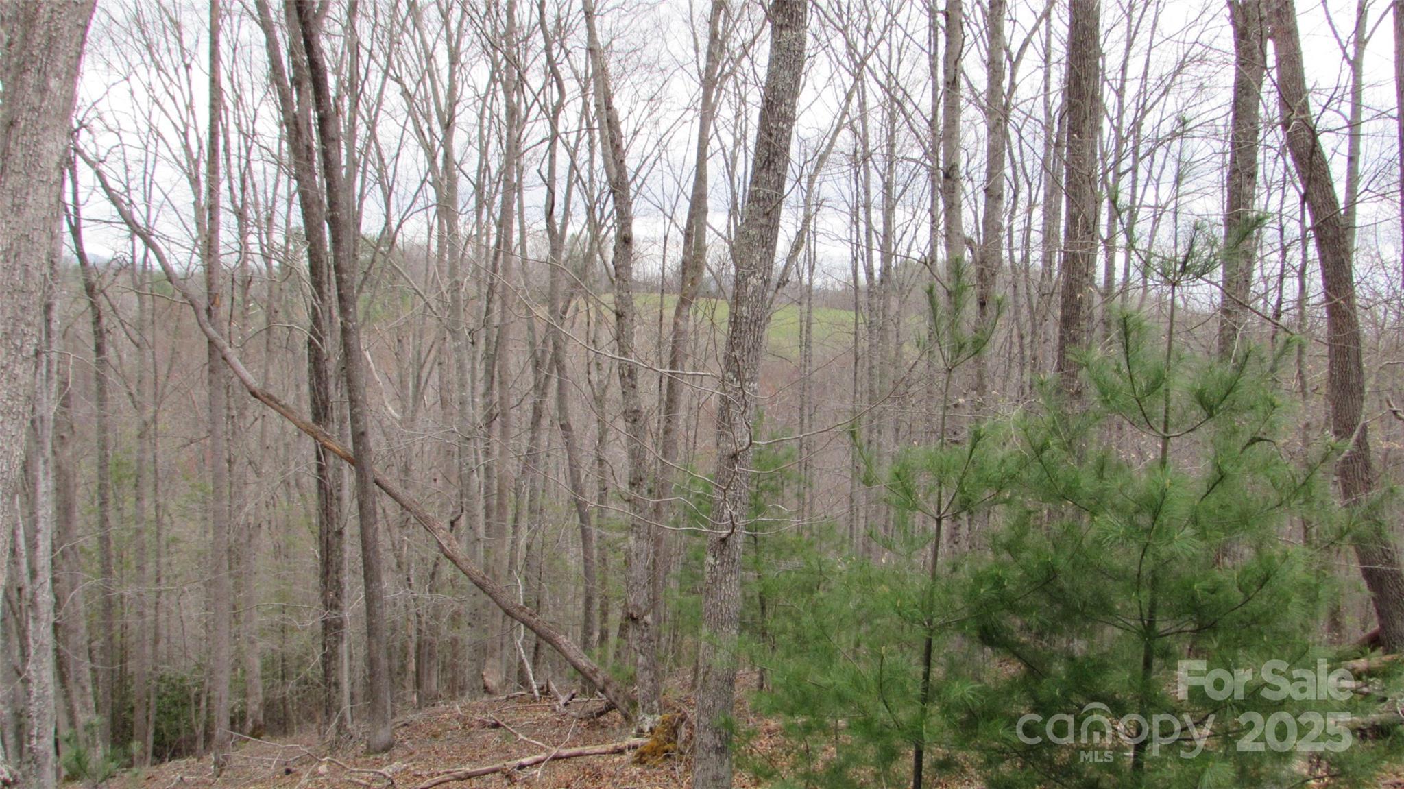 #74 Falling Water Drive Green Mountain NC 28740