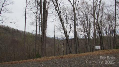 #74 Falling Water Drive Green Mountain NC 28740