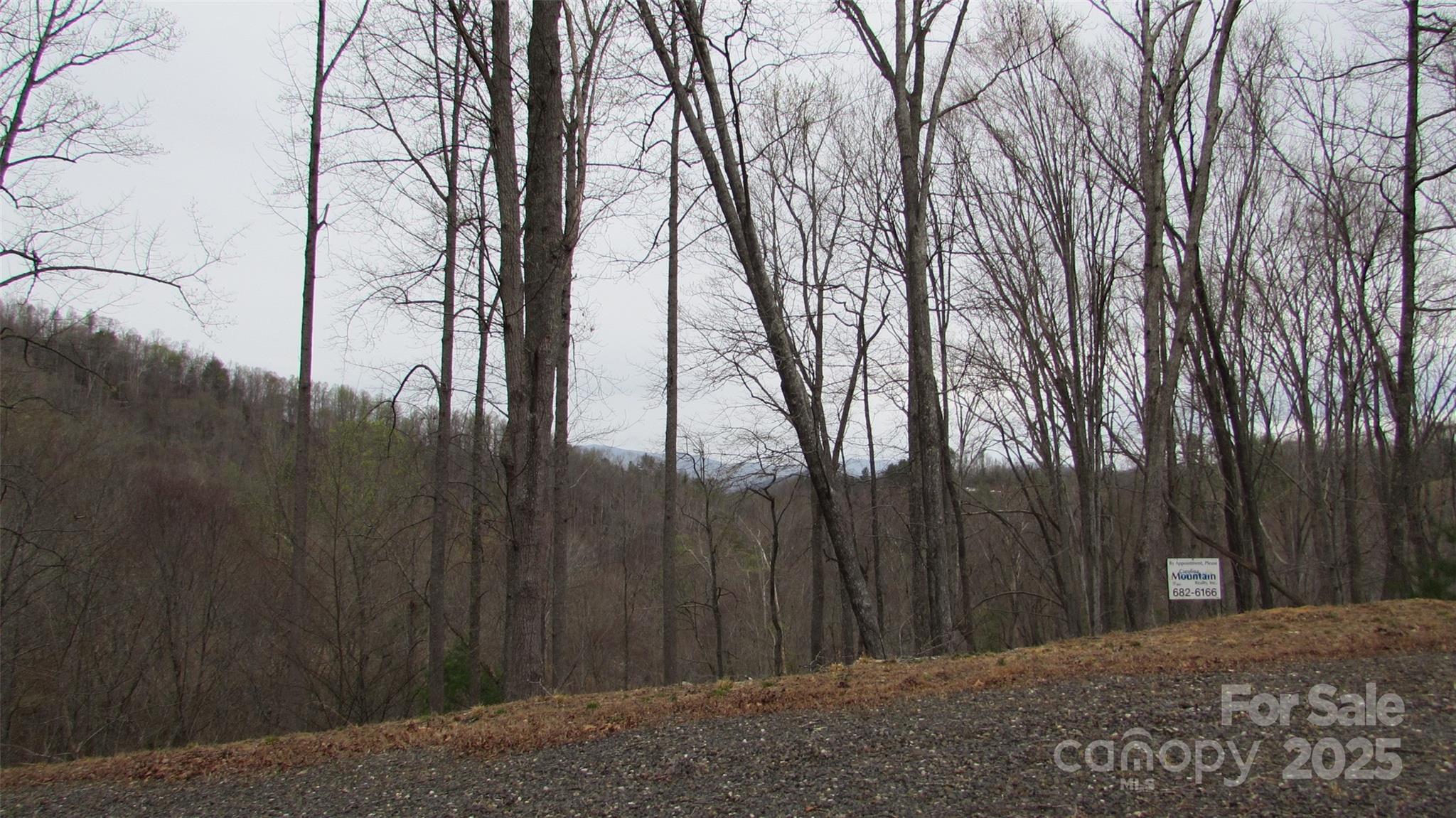 #74 Falling Water Drive Green Mountain NC 28740