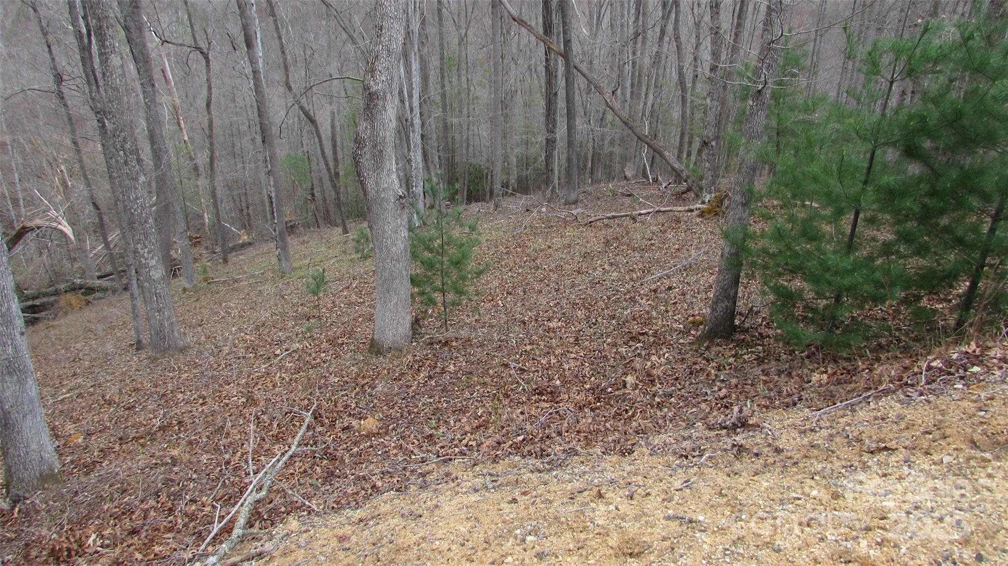 #74 Falling Water Drive Green Mountain NC 28740