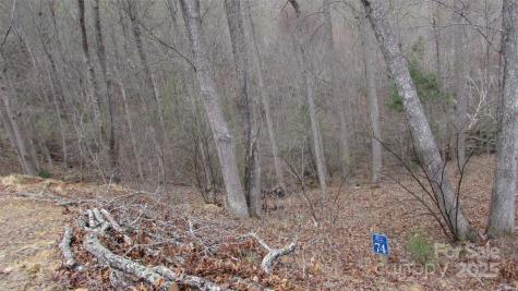 #74 Falling Water Drive Green Mountain NC 28740