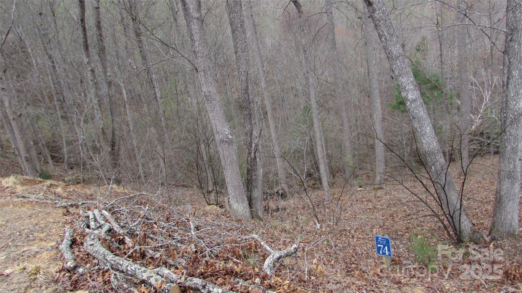 #74 Falling Water Drive Green Mountain NC 28740