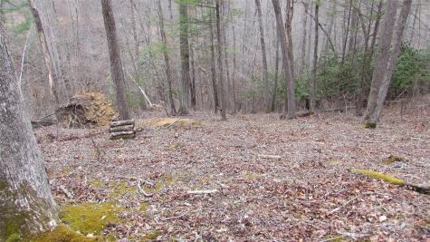 #74 Falling Water Drive Green Mountain NC 28740