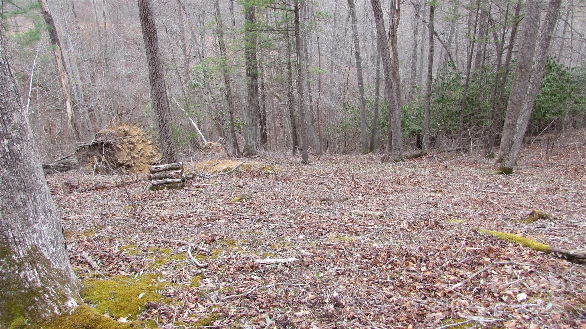 #74 Falling Water Drive Green Mountain NC 28740