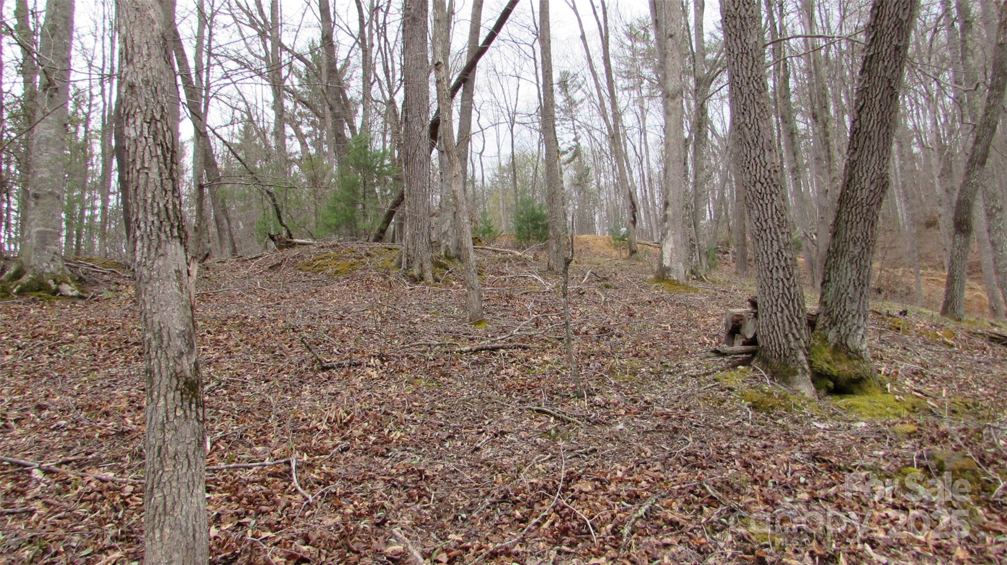 #74 Falling Water Drive Green Mountain NC 28740