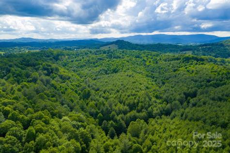 Tbd Phipps Dairy Road Piney Creek NC 28663