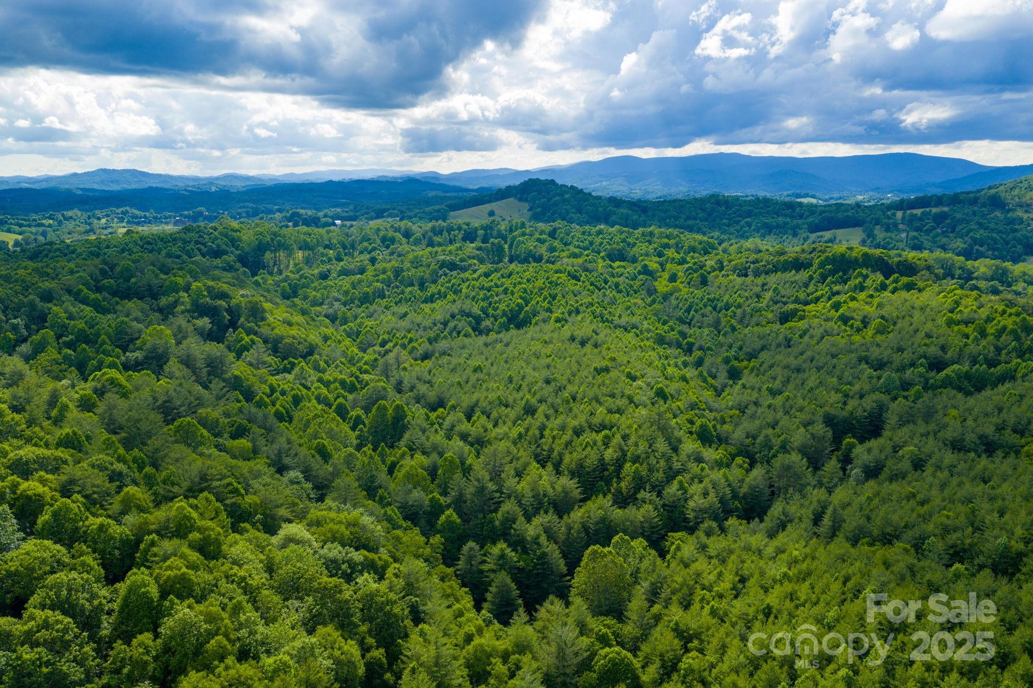 Tbd Phipps Dairy Road Piney Creek NC 28663