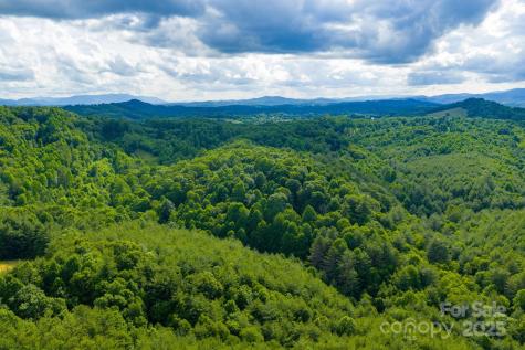 Tbd Phipps Dairy Road Piney Creek NC 28663