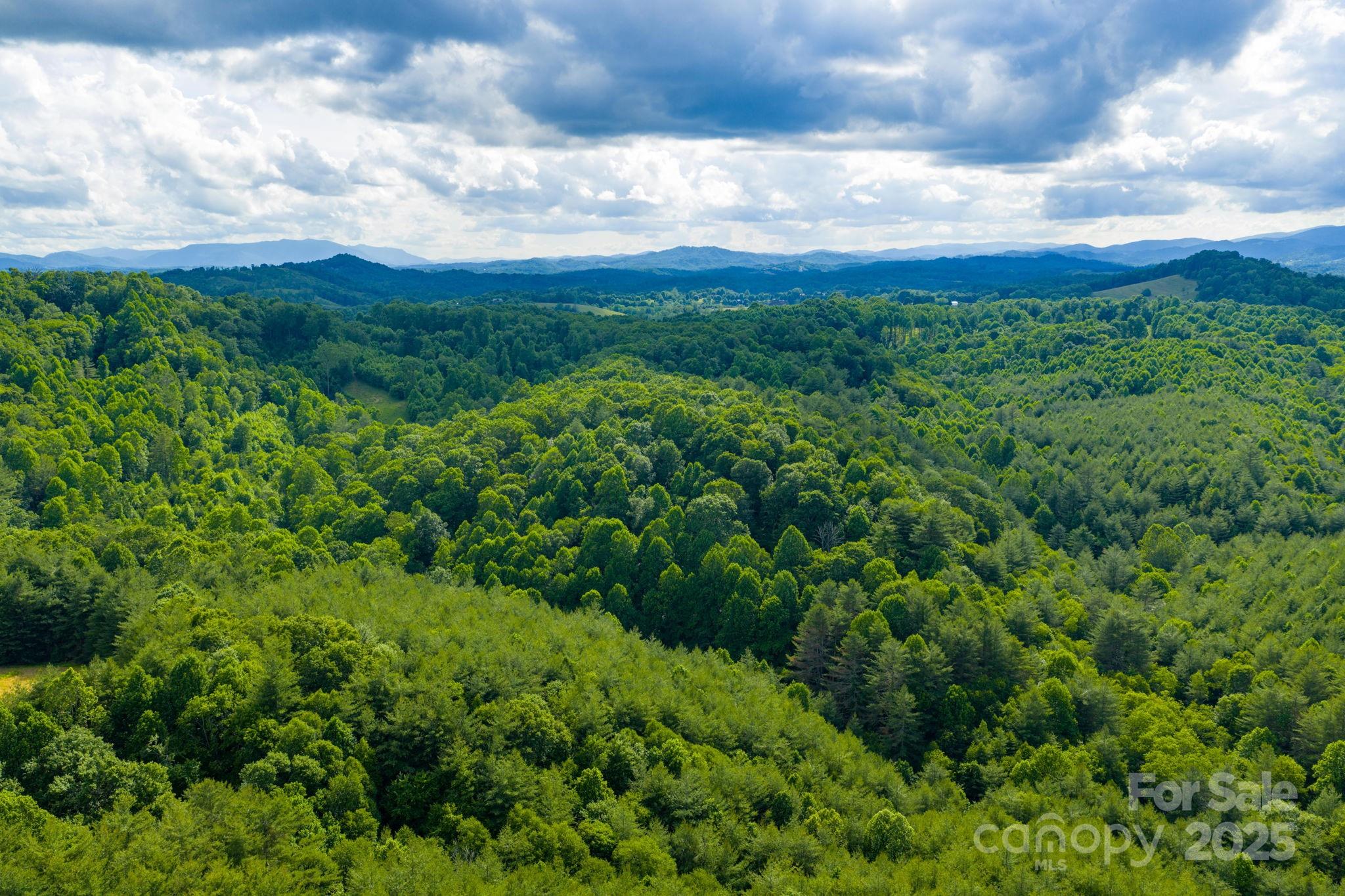 Tbd Phipps Dairy Road Piney Creek NC 28663
