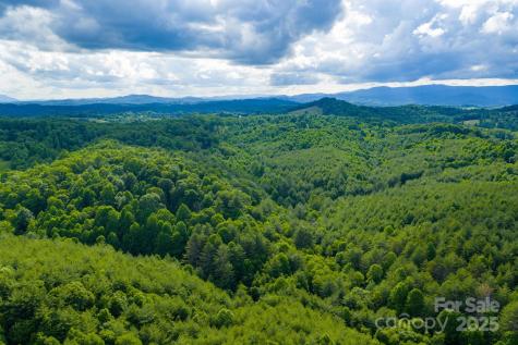 Tbd Phipps Dairy Road Piney Creek NC 28663