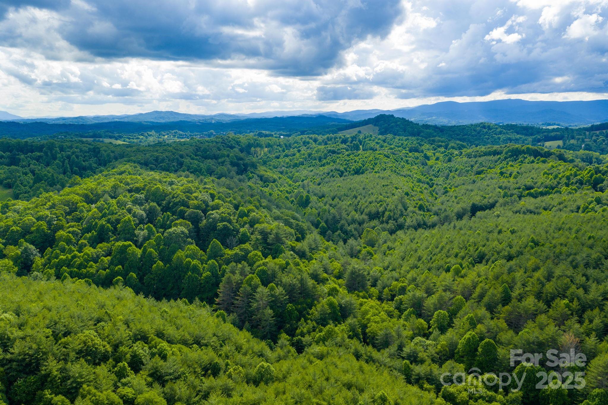 Tbd Phipps Dairy Road Piney Creek NC 28663