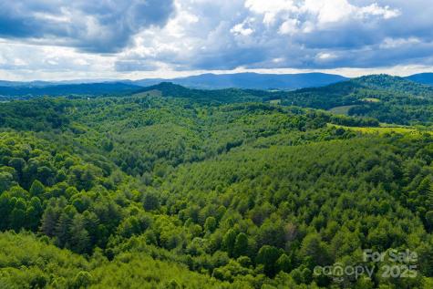 Tbd Phipps Dairy Road Piney Creek NC 28663