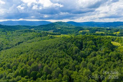 Tbd Phipps Dairy Road Piney Creek NC 28663