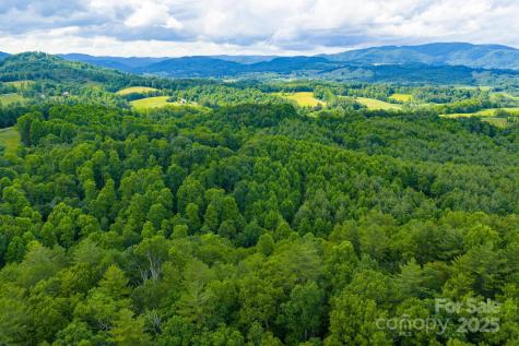 Tbd Phipps Dairy Road Piney Creek NC 28663