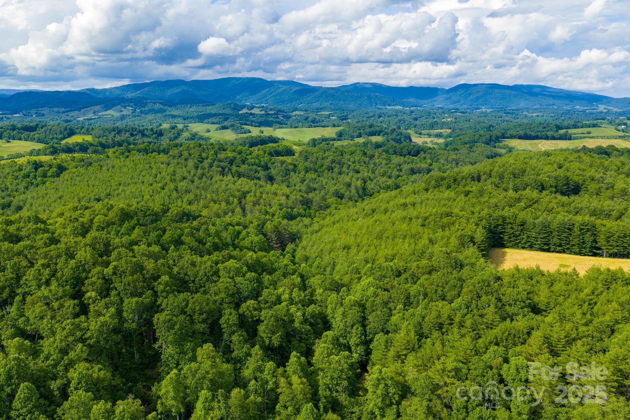 Tbd Phipps Dairy Road Piney Creek NC 28663