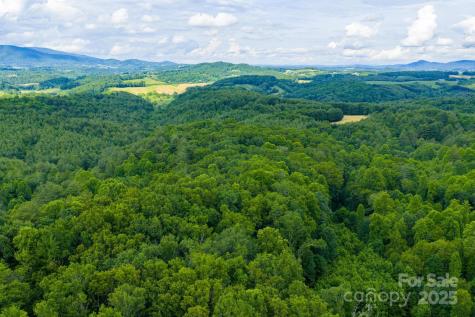 Tbd Phipps Dairy Road Piney Creek NC 28663
