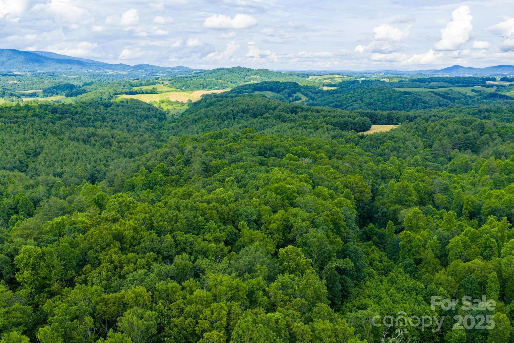 Tbd Phipps Dairy Road Piney Creek NC 28663