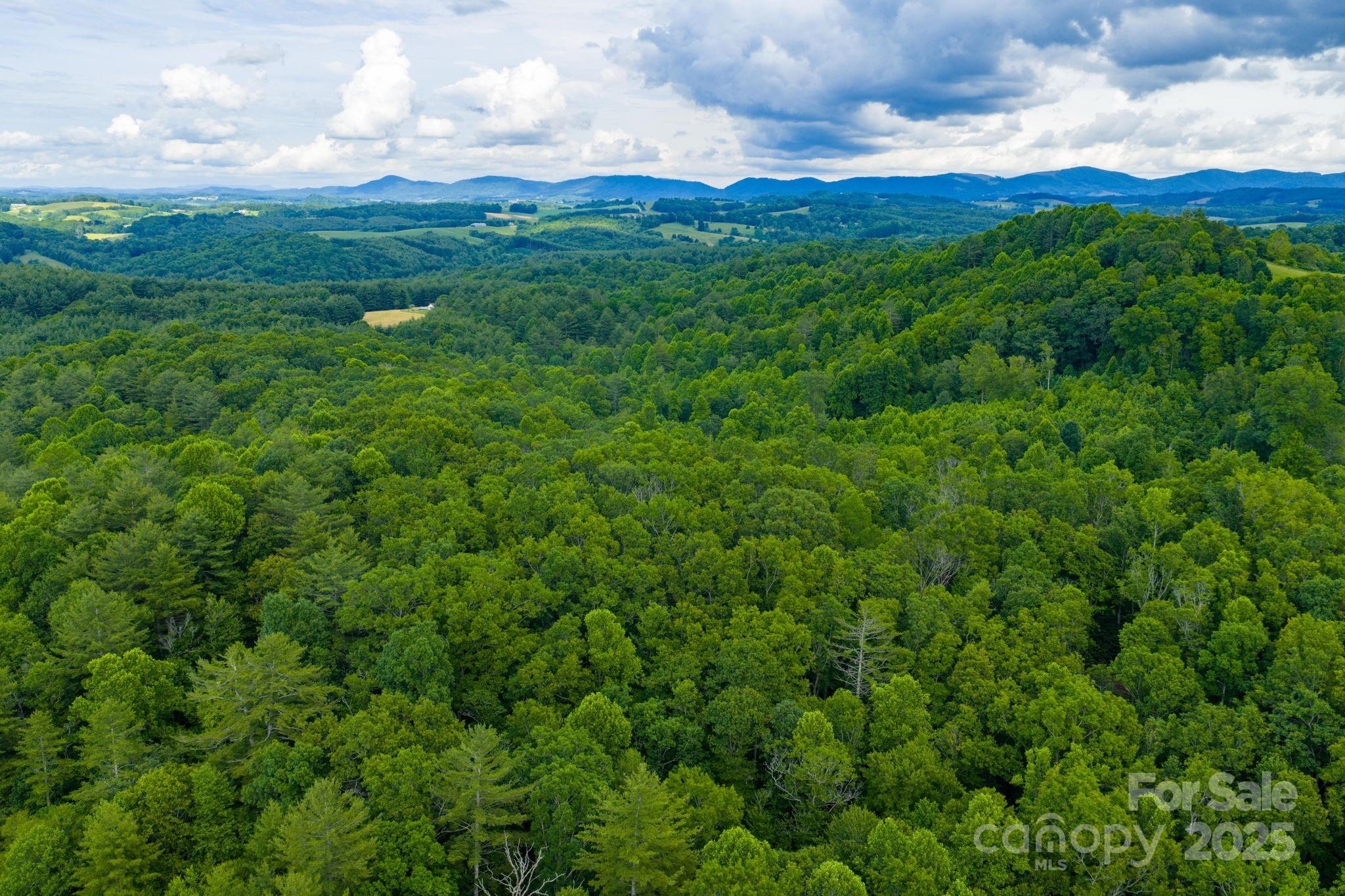 Tbd Phipps Dairy Road Piney Creek NC 28663