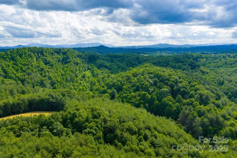 TBD Phipps Dairy Road Piney Creek NC 28663