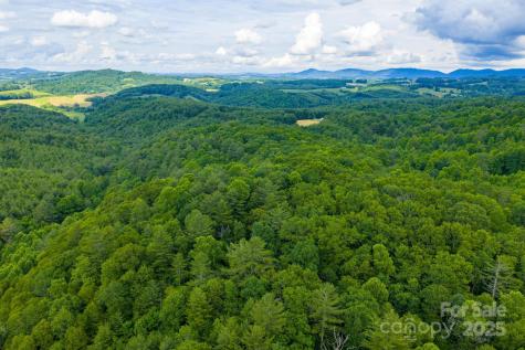 Tbd Phipps Dairy Road Piney Creek NC 28663