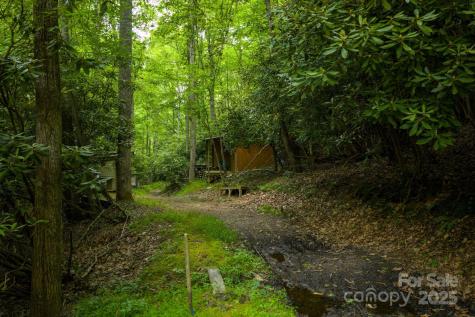 Tbd Phipps Dairy Road Piney Creek NC 28663