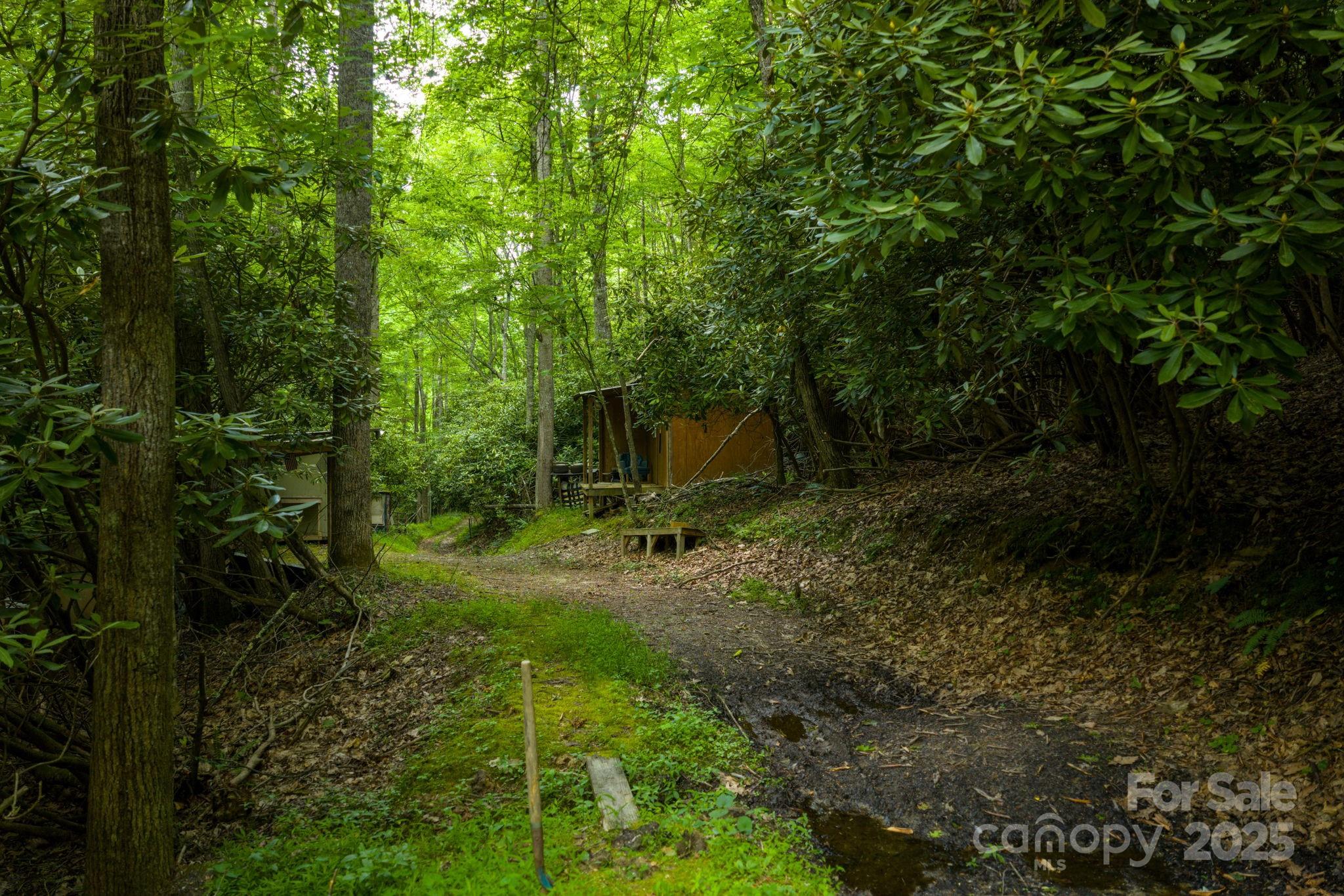 Tbd Phipps Dairy Road Piney Creek NC 28663