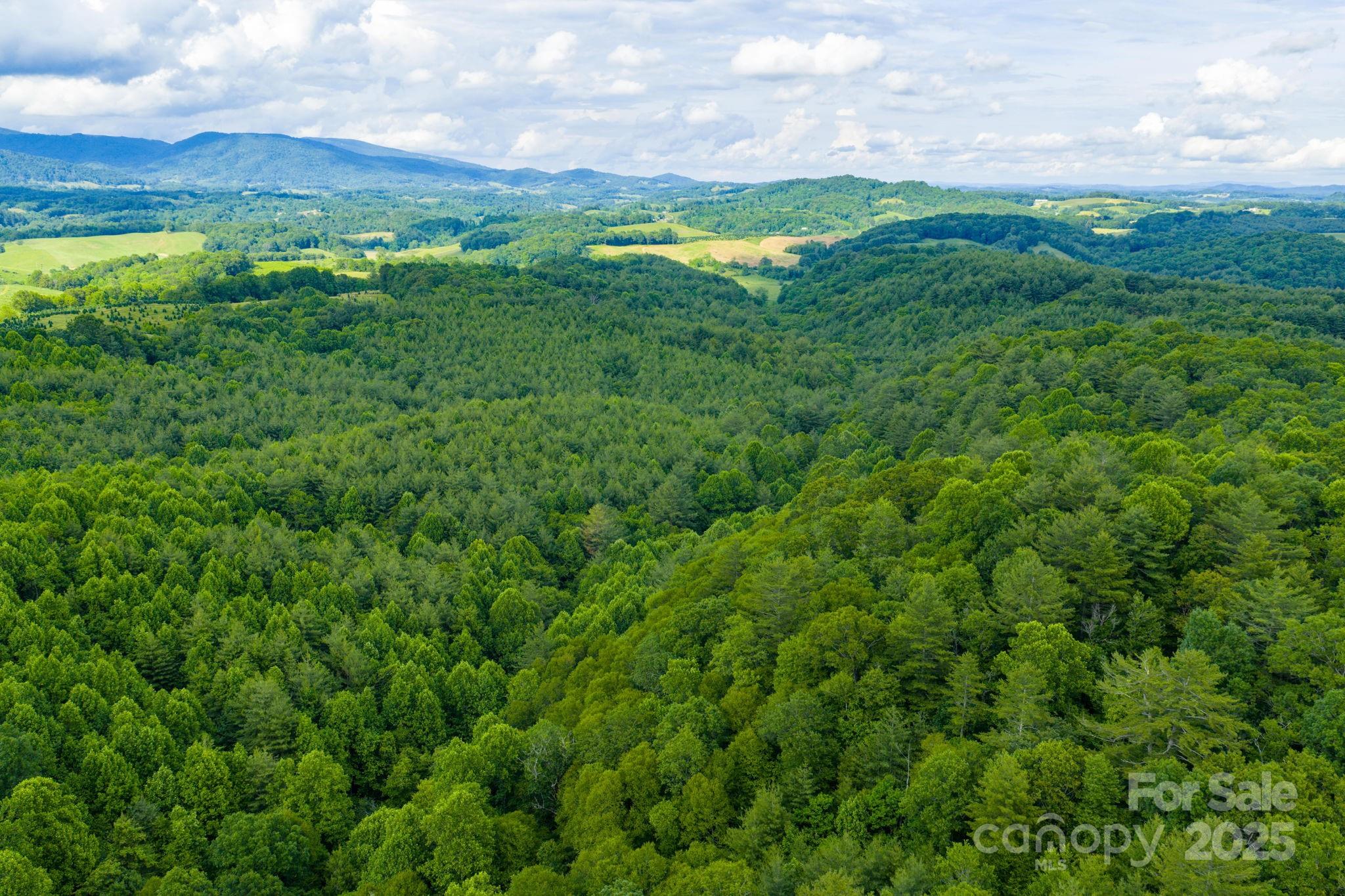 Tbd Phipps Dairy Road Piney Creek NC 28663