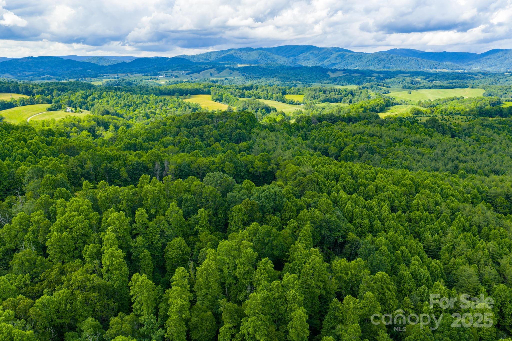 Tbd Phipps Dairy Road Piney Creek NC 28663