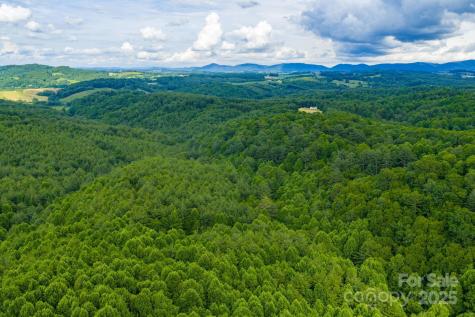 Tbd Phipps Dairy Road Piney Creek NC 28663