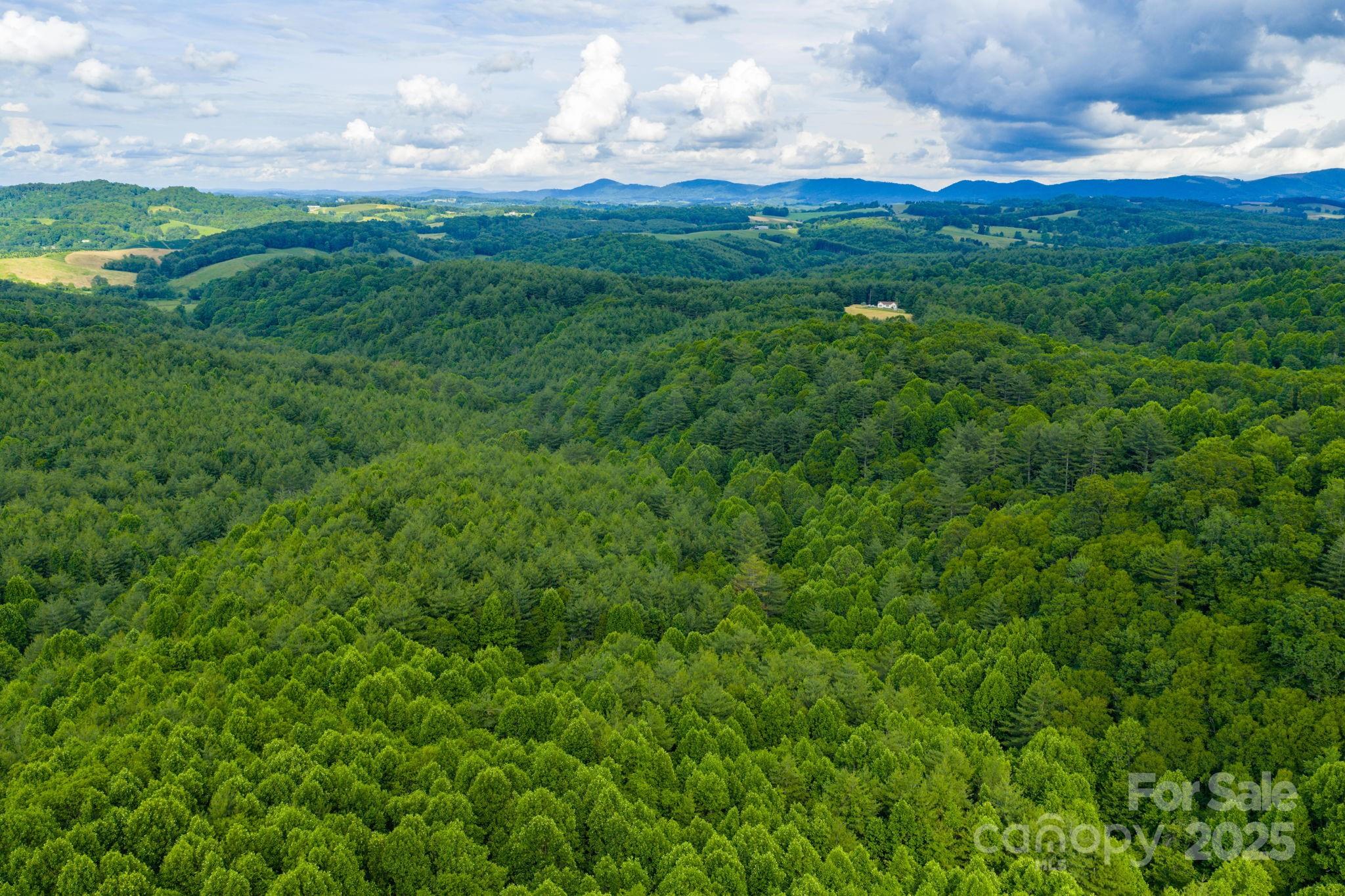 Tbd Phipps Dairy Road Piney Creek NC 28663