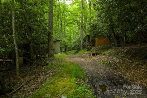 Tbd Phipps Dairy Road Piney Creek NC 28663