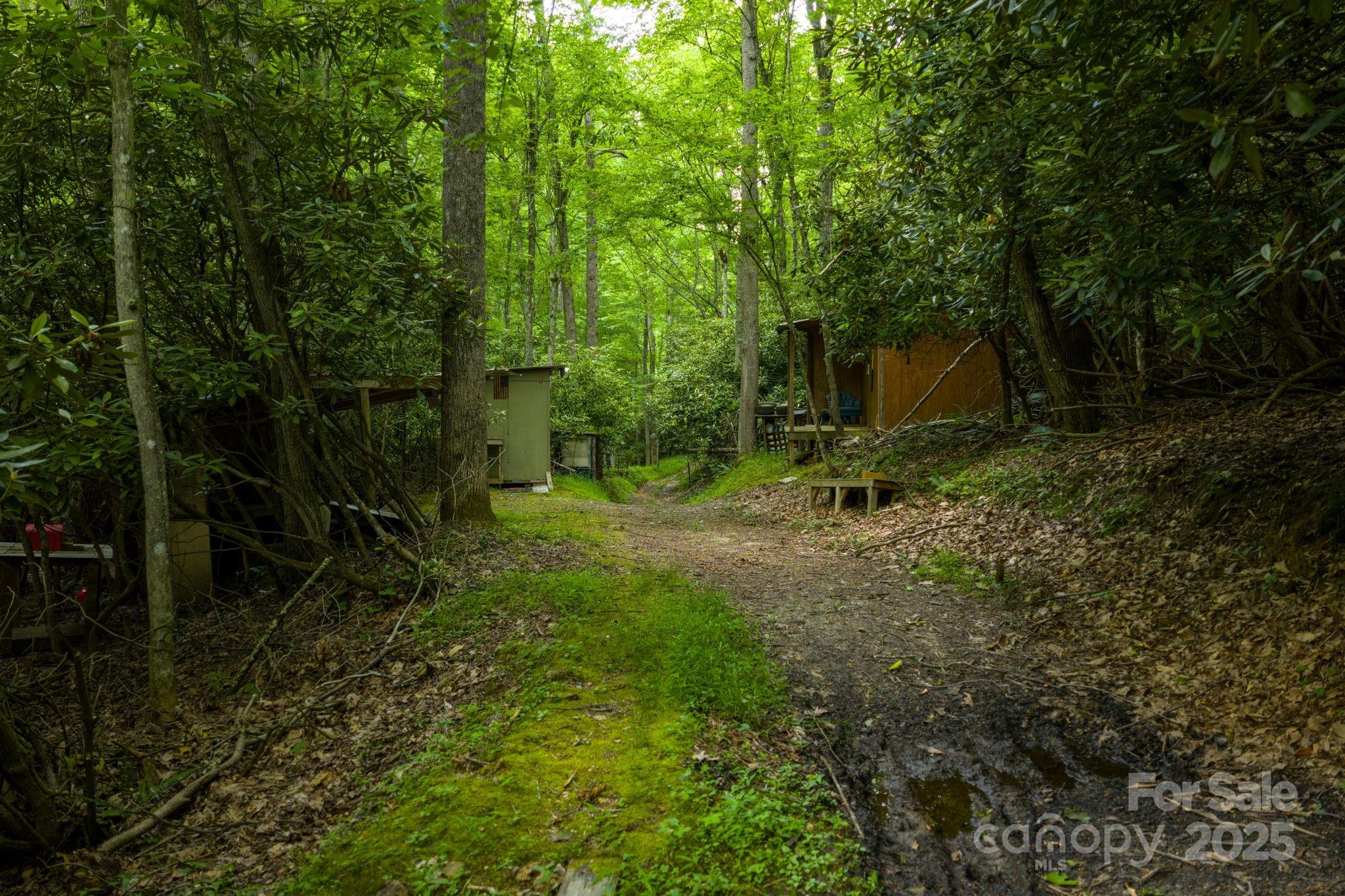 Tbd Phipps Dairy Road Piney Creek NC 28663