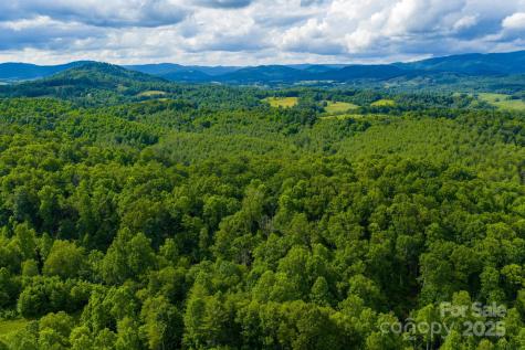 Tbd Phipps Dairy Road Piney Creek NC 28663