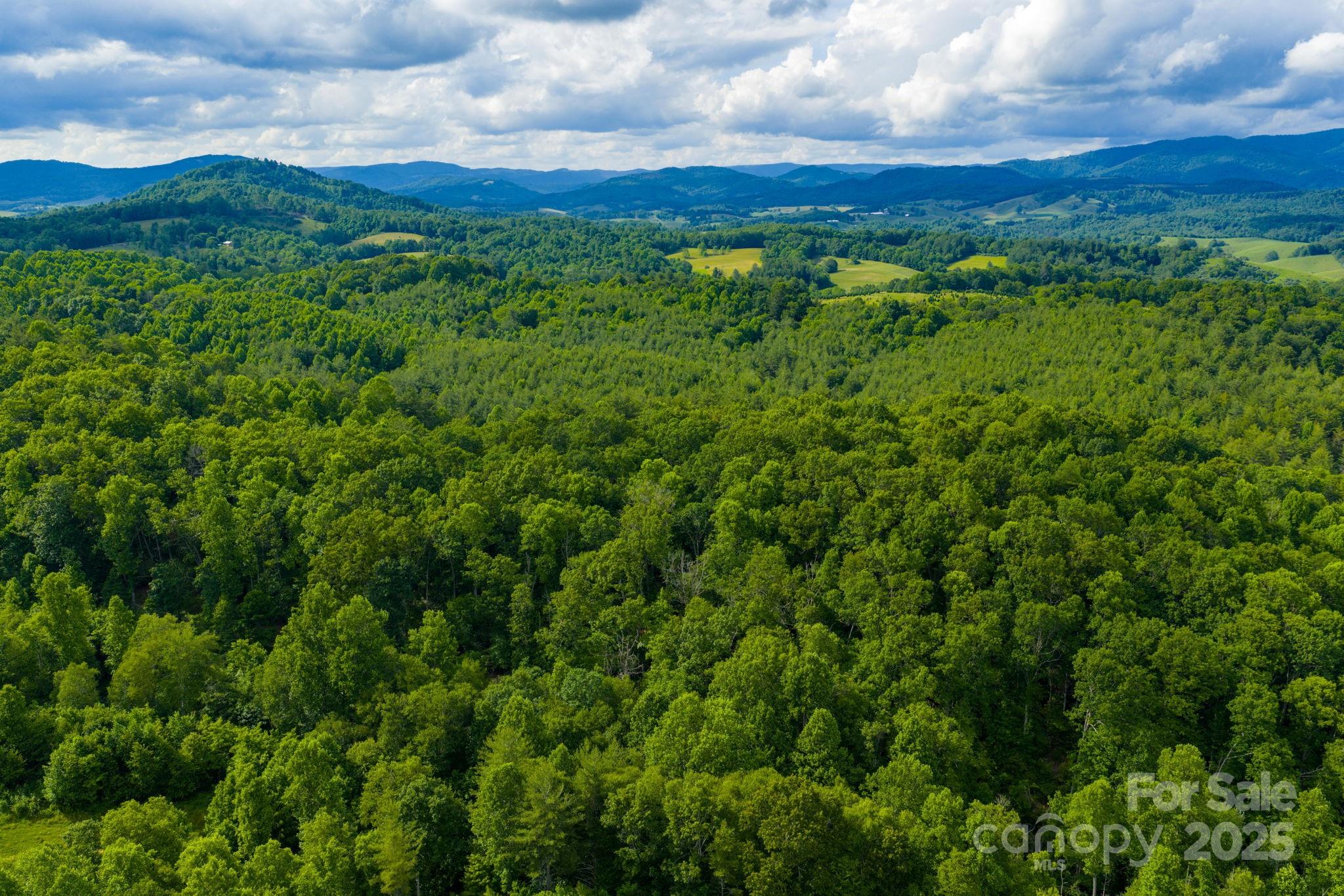 Tbd Phipps Dairy Road Piney Creek NC 28663
