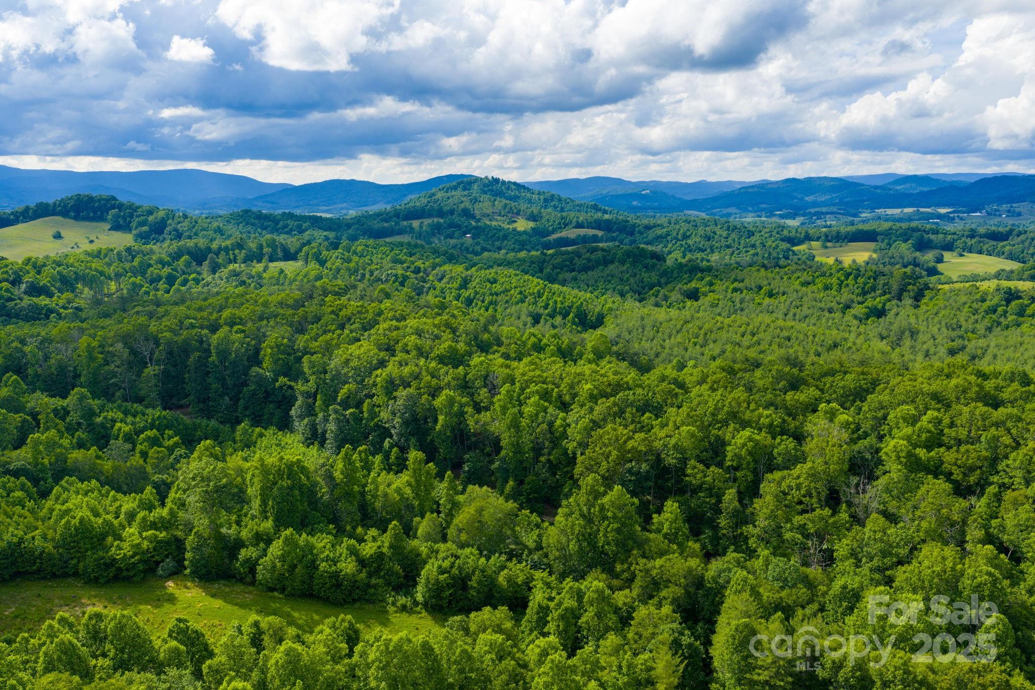 Tbd Phipps Dairy Road Piney Creek NC 28663