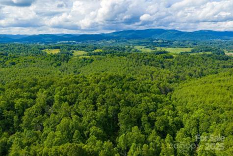 Tbd Phipps Dairy Road Piney Creek NC 28663