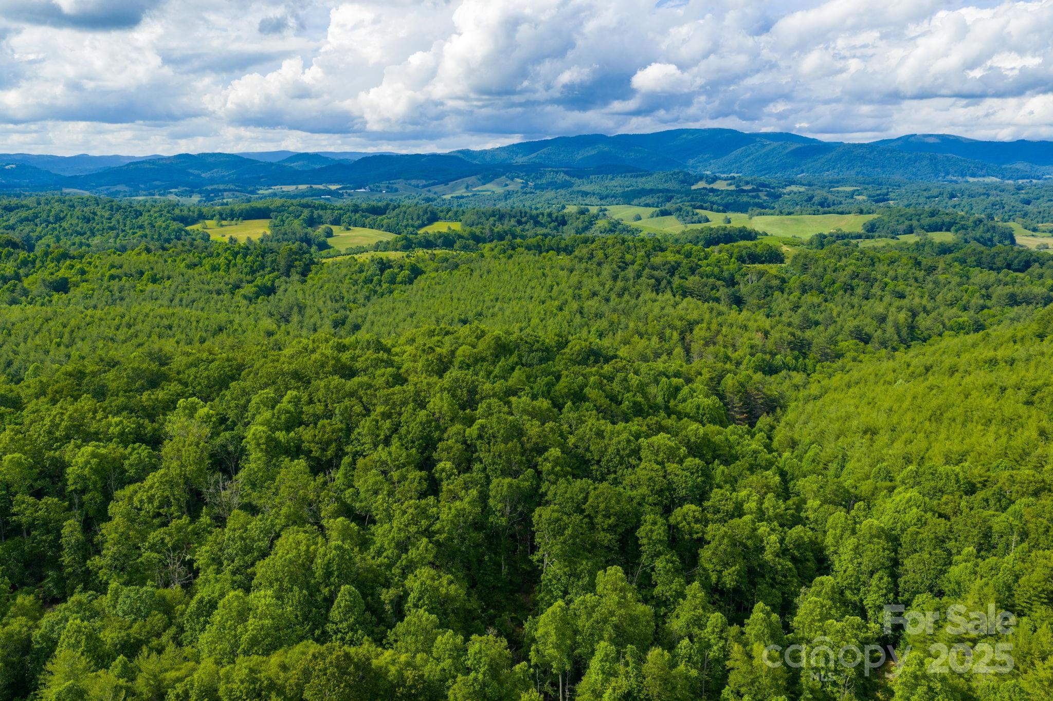 Tbd Phipps Dairy Road Piney Creek NC 28663