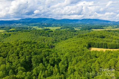 Tbd Phipps Dairy Road Piney Creek NC 28663