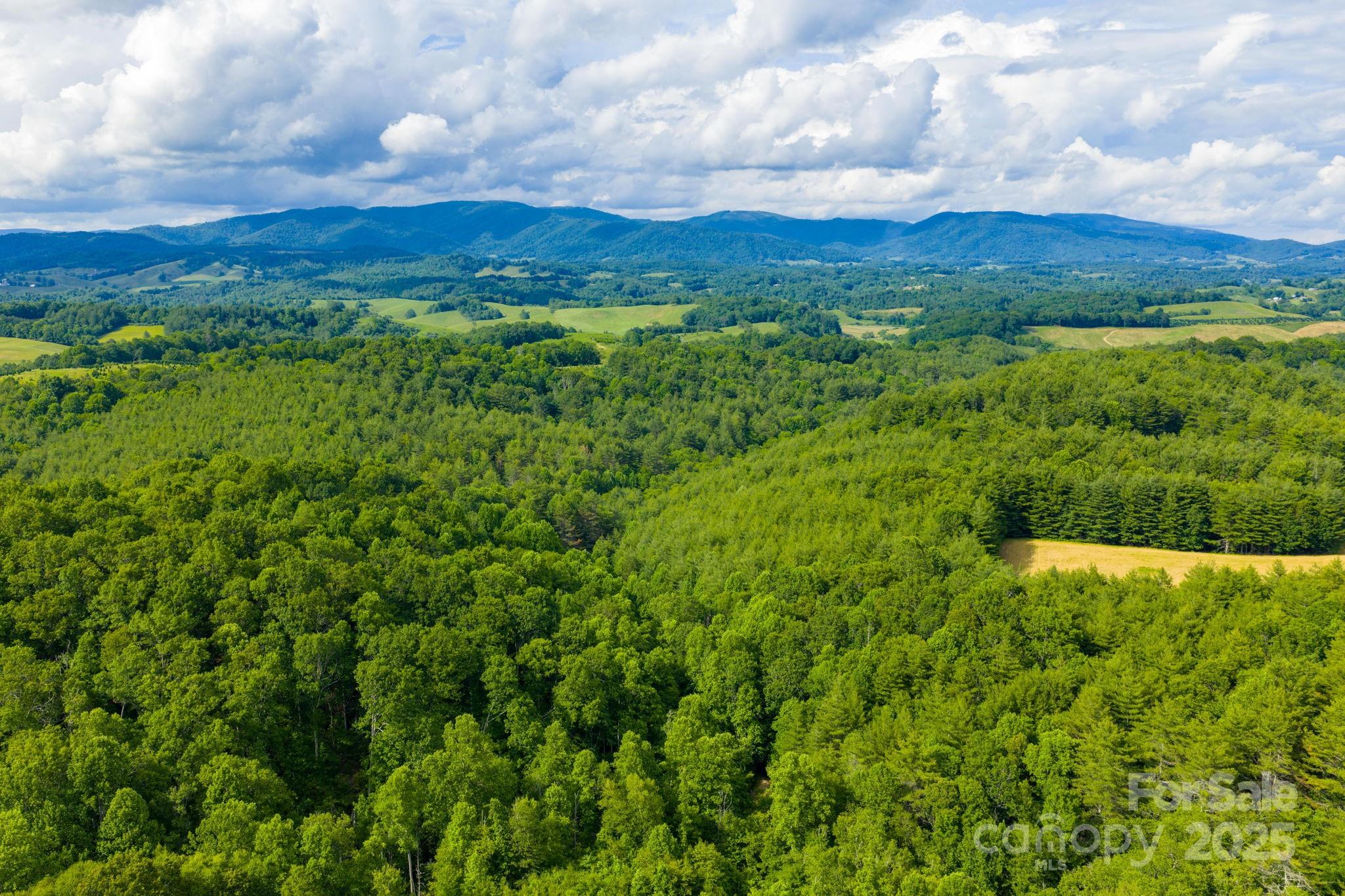 Tbd Phipps Dairy Road Piney Creek NC 28663