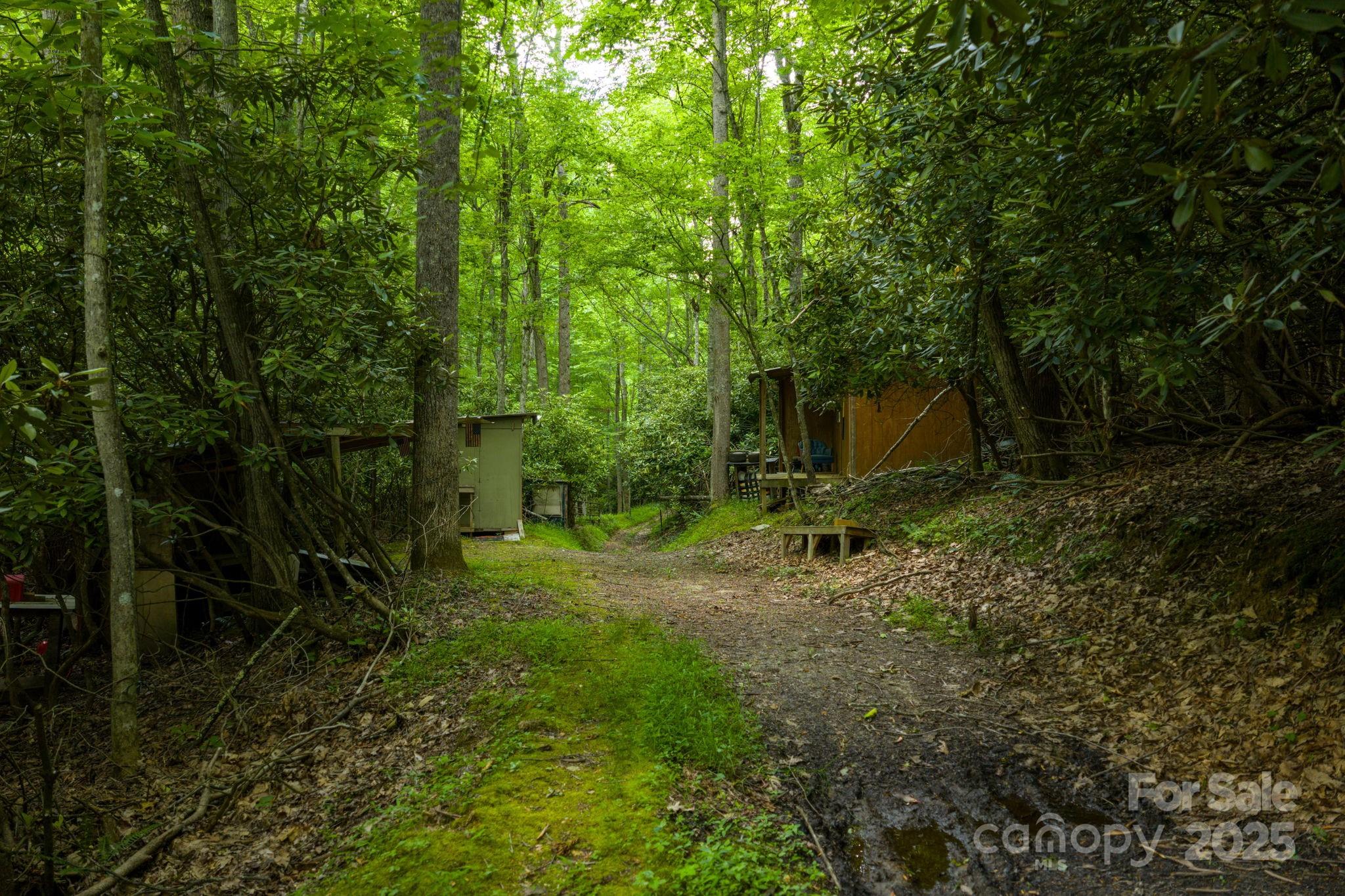 Tbd Phipps Dairy Road Piney Creek NC 28663