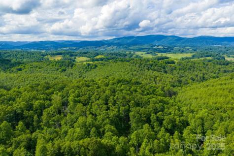 Tbd Phipps Dairy Road Piney Creek NC 28663