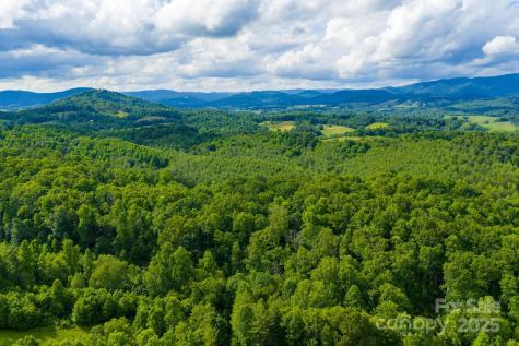 Tbd Phipps Dairy Road Piney Creek NC 28663
