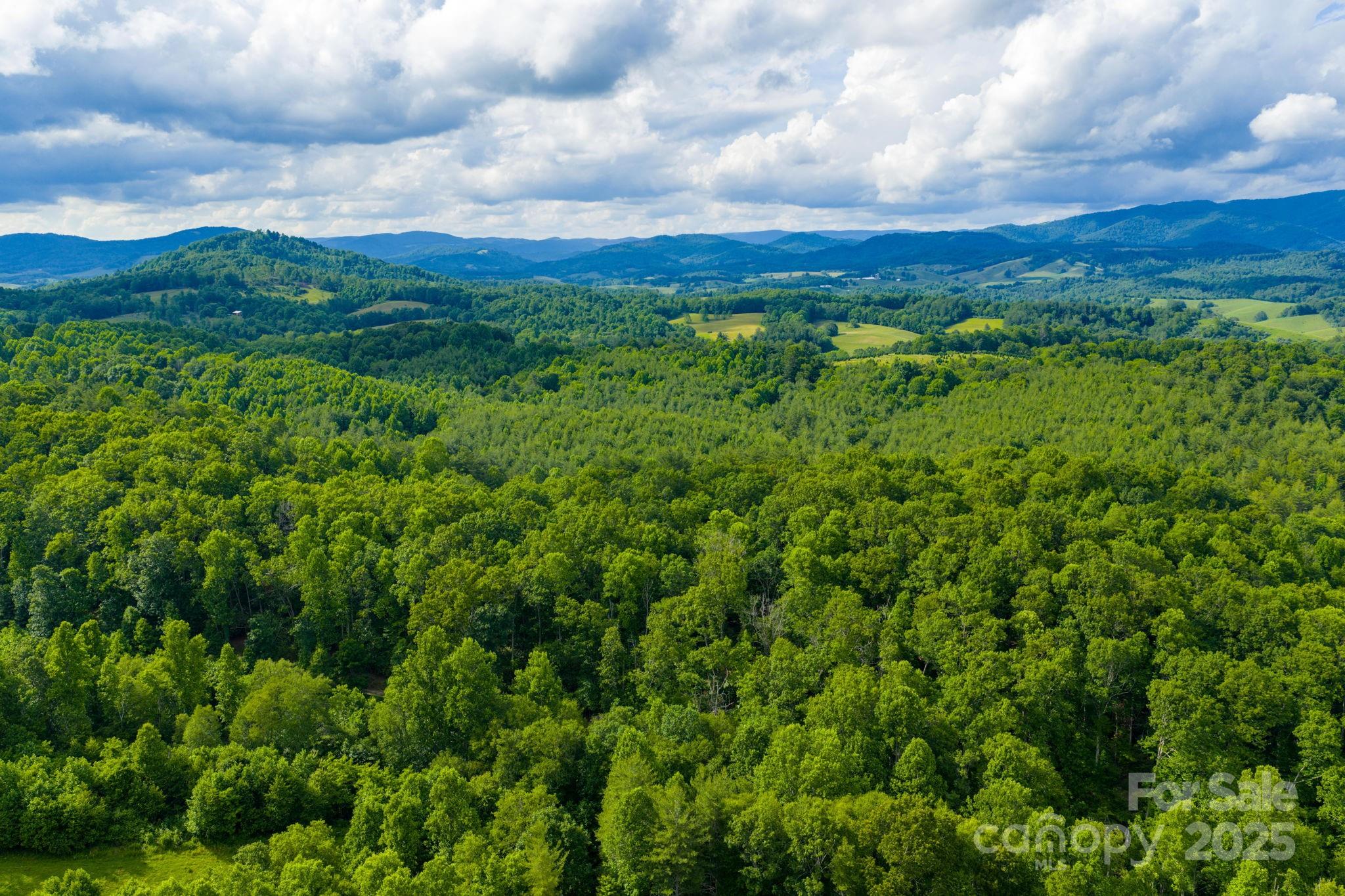 Tbd Phipps Dairy Road Piney Creek NC 28663